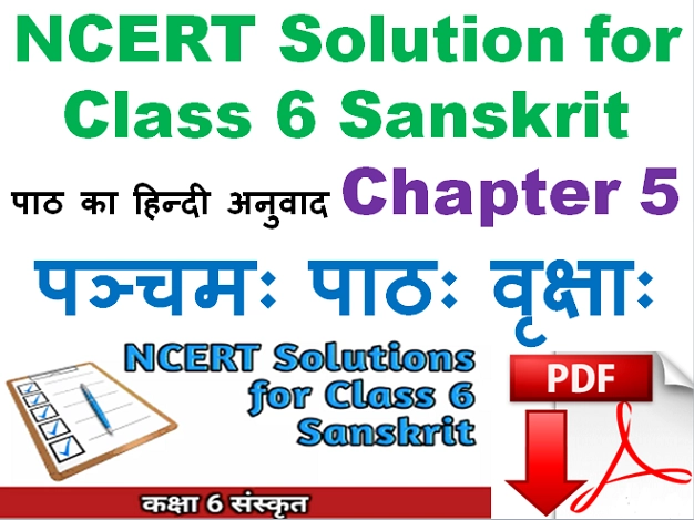 Class 6 Sanskrit Chapter 5 Vriksha